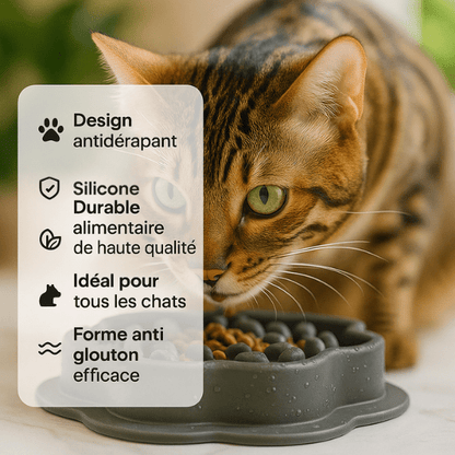 Gamelle anti-glouton chat silicone durable antidérapante pour tous les chats | SiliZen™