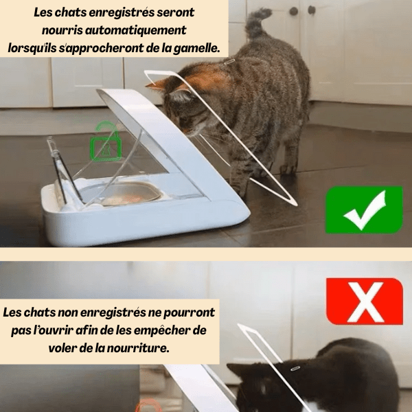 Gamelle automatique chat avec puce accès chat autorisation antivol de nourriture - MiaoMatic Puce™