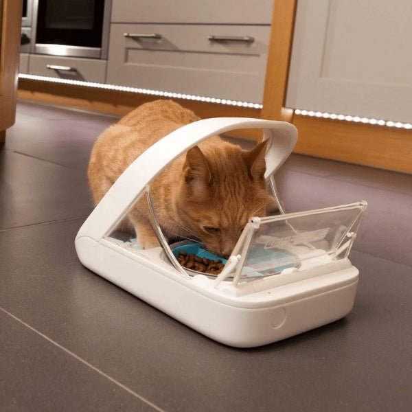 Gamelle automatique chat avec puce pour repas exclusif félin unique autorisation repas - MiaoMatic Puce™