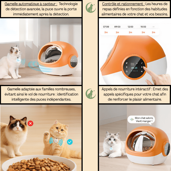Gamelle automatique chat puce detecteur avancée contrôle rationnement grande capacité appel - CrocTech Edition™