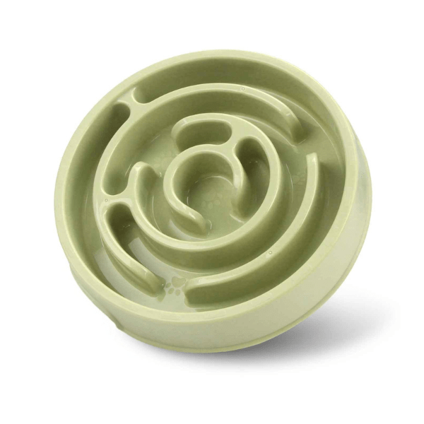 Gamelle chat anti glouton verte – conception circulaire anti-vomissement