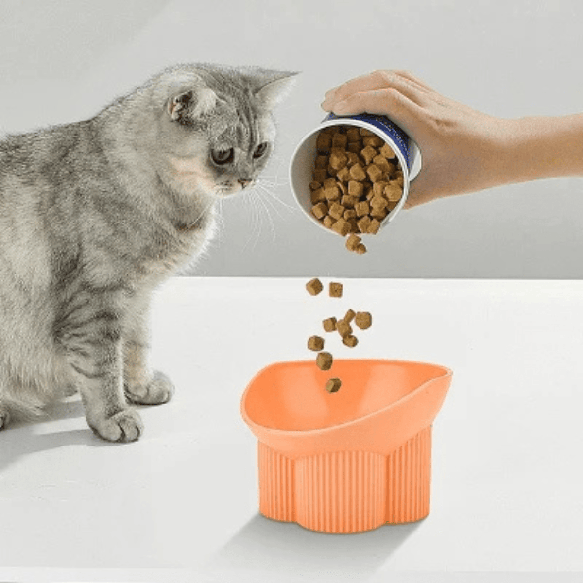 Gamelle chat anti renversement orange avec chat gris et main qui verse croquettes dans gamelle Anti-tipCatBowls™