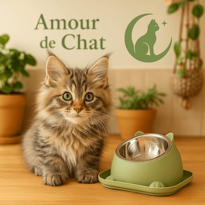Gamelle chaton 2en1 bol inox et support surélevé avec chaton maine coon dans cuisine - Bowl Design™