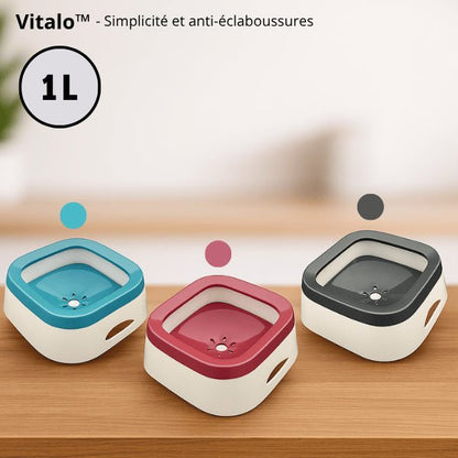 Gamelle eau chat colorée bleu rose et gris carré grande capacité 1 litre Vitalo™