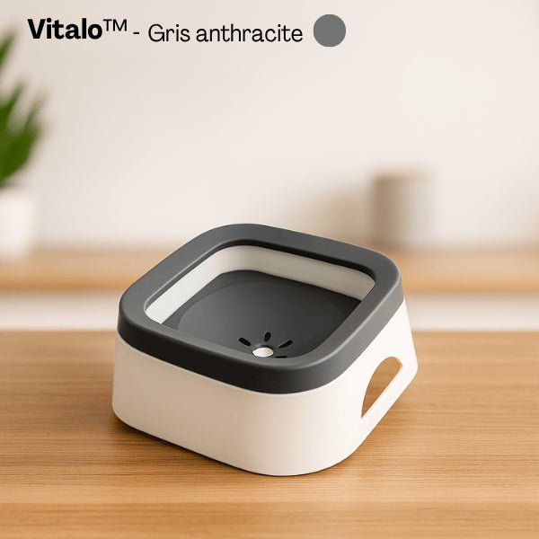 Gamelle eau chat grande capacité pratique carré gris anthracite 1 L Vitalo™