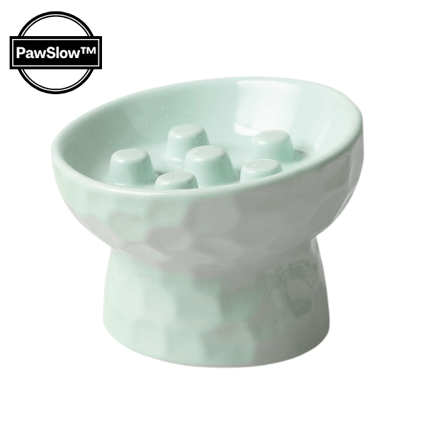 Gamelle ludique pour chat verte ronde surélevée macaron PawSlow™