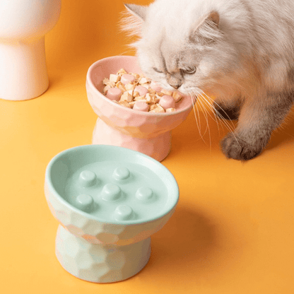 Gamelle ludique pour chat vus dessus avec félin qui va manger repas lent