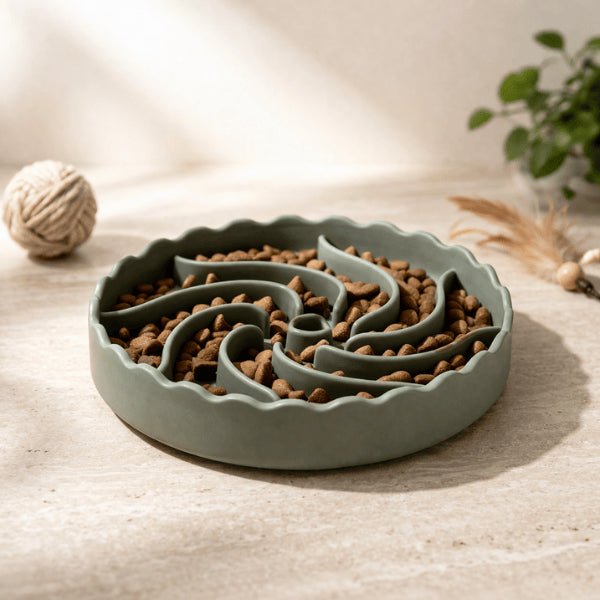 Gamelle pour chat glouton avec croquettes pour ralentir prise alimentaire et stimuler instinct