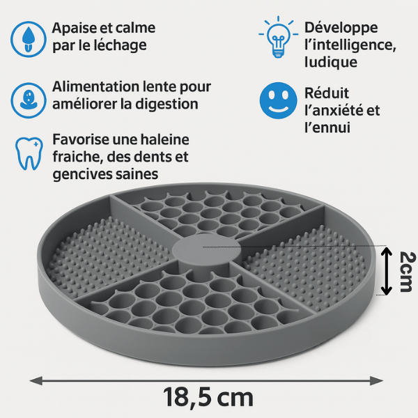 Gamelles anti glouton chat Base AntiCroc™ – design texturé pour hygiène dentaire