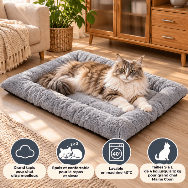 Grand tapis pour chat moelleux accueillant un Maine Coon au repos