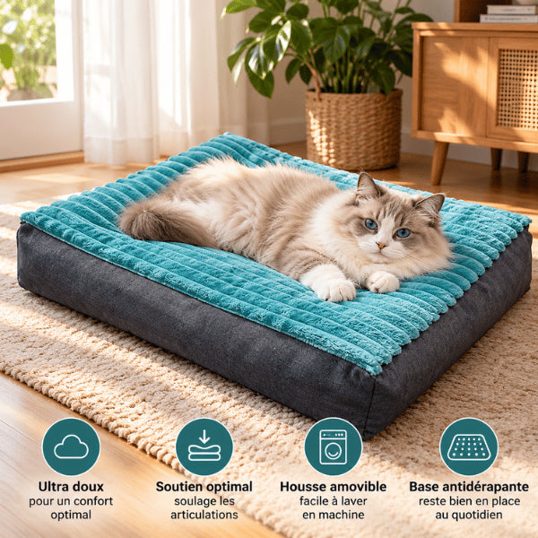 Matelas pour chat turquoise épais avec housse lavable et base antidérapante