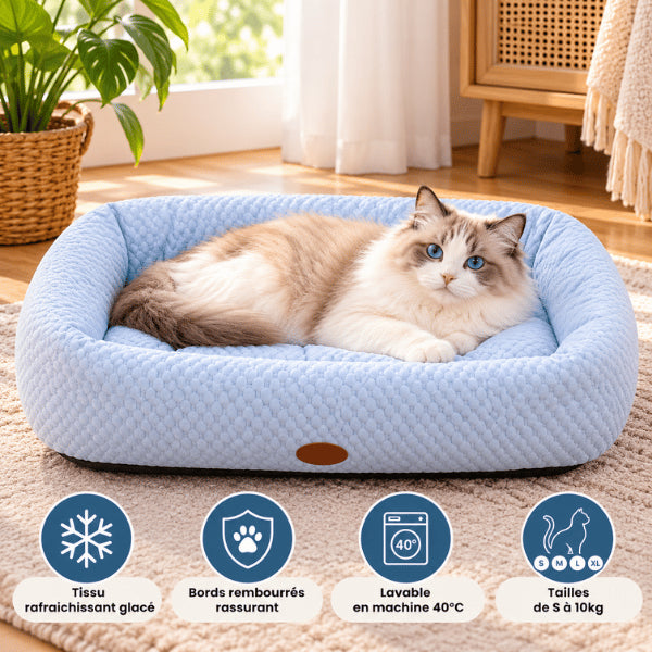 Lit rafraîchissant pour chat bleu lavable avec bords rassurants et tissu frais