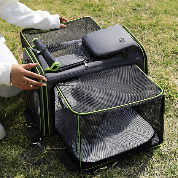 Sac de voyage pour chat extensible avec panneaux respirants pour sorties extérieures