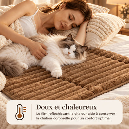 Tapis pour chat auto chauffant conservant la chaleur corporelle sur le lit