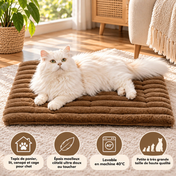 Tapis chat chaud marron pour grand félin, lavable en machine